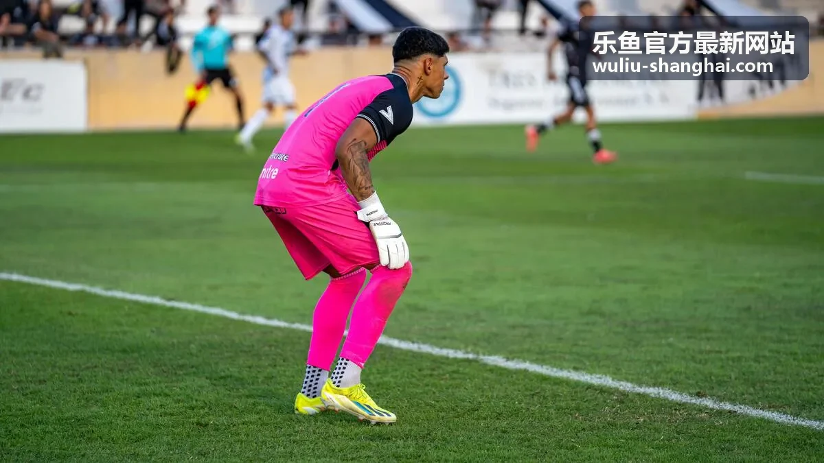 电商零售企业使用乐鱼物流方案进行批量发货